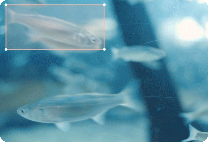 Challenges in generative video tasks